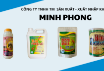  MINH PHONG BIO TREE GO 