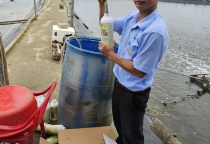 Bio Tree Go về tới khách hàng Đà Nẵng 