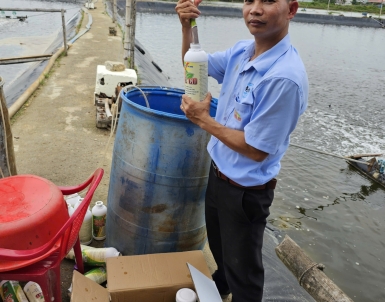 Bio Tree Go về tới khách hàng Đà Nẵng 