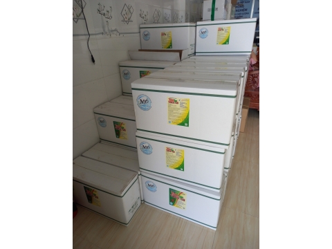 KHO HÀNG SẢN PHẨM BIO TREE GO 