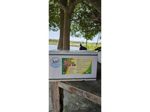 CHUYỂN GIAO CÔNG NGHỆ SINH HỌC BIO TREE GO CHO NGƯỜI DÂN QUẢNG NAM 