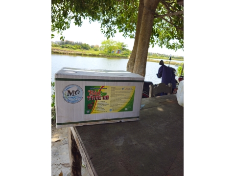 CHUYỂN GIAO CÔNG NGHỆ SINH HỌC BIO TREE GO CHO NGƯỜI DÂN QUẢNG NAM 