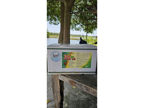 CHUYỂN GIAO CÔNG NGHỆ SINH HỌC BIO TREE GO CHO NGƯỜI DÂN QUẢNG NAM 