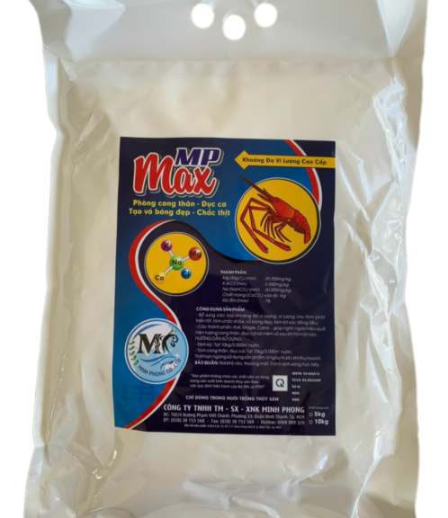 MP MAXN