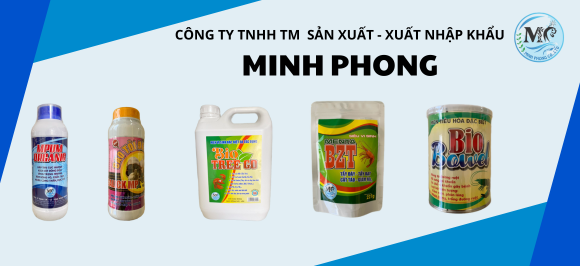  MINH PHONG BIO TREE GO 
