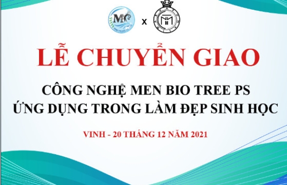 Thư viện ảnh