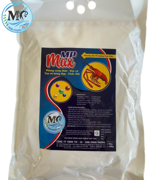 MP MAXN
